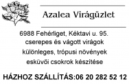 TRAXX JF635 fémbélyegző bélyegző készítés Budapesten sürgősen